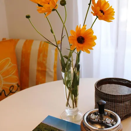 Apartman Luce *
